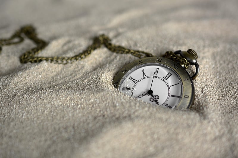 Time-Traveler Chronicles